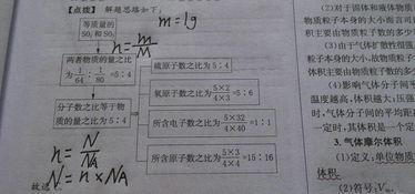 物质的量为什么会等于分子个数的量啊