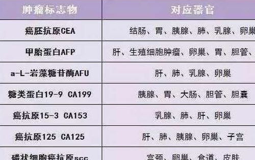 肿瘤标志物不建议查啥的