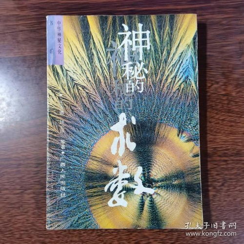 神秘的术数 中国算命术研究与批判