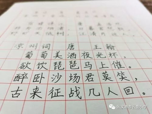 小学硬笔比赛文案范文,硬笔字写得好的文案？