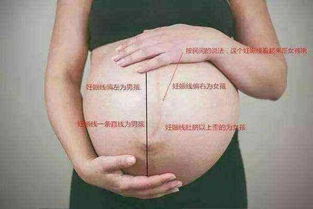 当孕妈的身体有这5种表现的,说明怀的是女娃,十个人有九个说准
