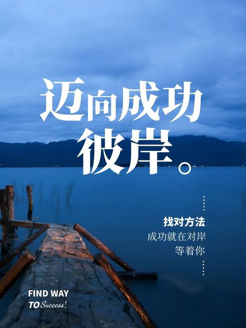 迈向成功彼岸 