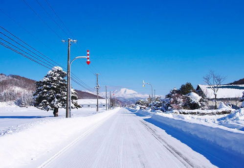 劲爆2.4折 收割梁朝伟 刘嘉玲蜜月地,带宝贝雪地恣意撒欢