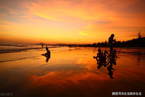 美丽的海边三亚之旅,向往的海边生活,想要的很简单去不容易得到