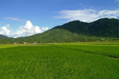 什么的门填空