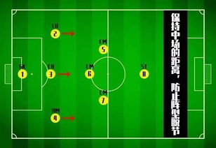 8人制足球的战术图纸,8人制足球最实用战术视频