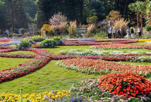 2021年仙湖植物园花展预约时间 
