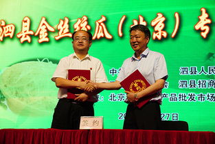 安徽泗县农产品金丝绞瓜在京获签百万吨大单