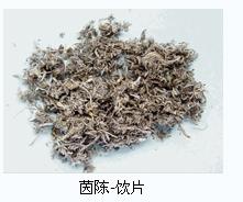 茵陈是什么样的 