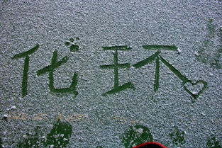 初雪许愿文案