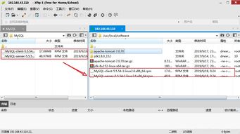 Linux中如何搭建环境MySQL client server5.5