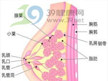 乳腺结节需要手术吗(9mm乳腺结节需要手术吗)