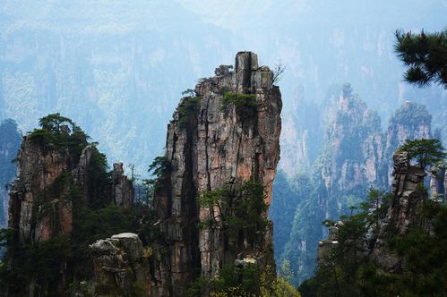 天子山在哪里 (秦峰停车场收费标准)