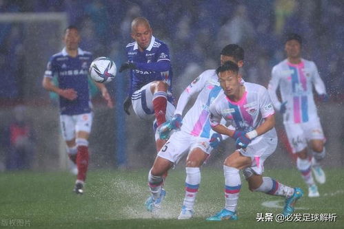 町田泽维亚vs横滨fc直播