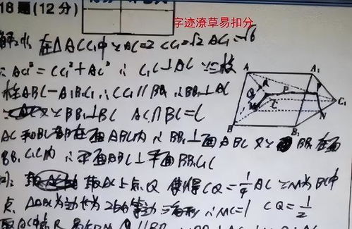 高考时使用不同字体,遇上电脑阅卷,现实和理想还是有很大差距的