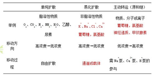 物质的跨膜转运单纯扩散 易化扩散 主动转运都有什么区别 图表总结 