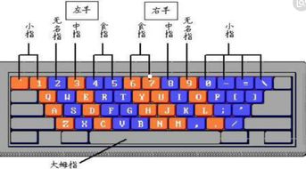 电脑上打字时如何使用横线的特殊符号？