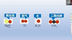 初三化学元素的决定因素 质子数