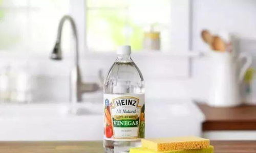 居家清洁白醋作用大,清洁冰箱很在行,给卫生间消毒很有效果