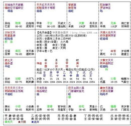 请高手帮助解释一下紫微斗数命盘, 越详细越好,谢谢啦 