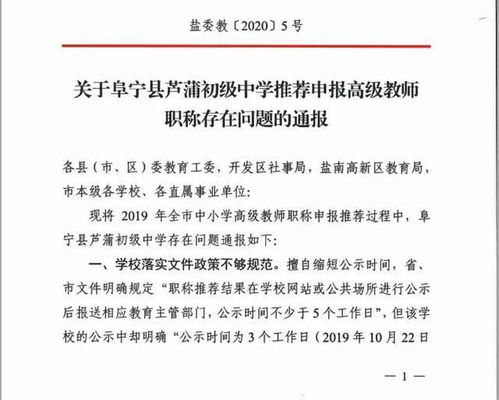 职称惹的祸 15人高级职称申报材料作假,江苏一中学被通报