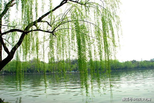 孙祝田诗评鉴 李顺林 独到热烈情思触发心灵共振