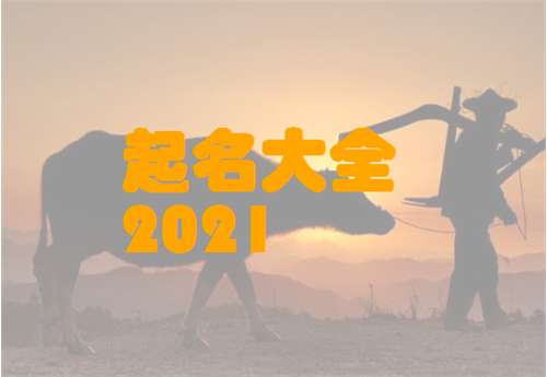 2021年牛宝宝的起名字大全 女宝宝