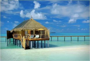 马尔代夫森特拉富士岛美丽的海滩热带植物和珊瑚礁（马尔代夫thoddoo岛）