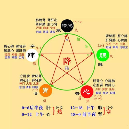 搜索 五脏六腑与五行的关系讲解