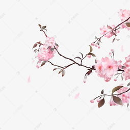 古风粉色樱花素材图片免费下载 千库网 