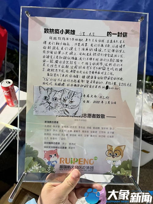 深圳组建宠物临时驿站 免费照顾隔离人群的宠物,不仅吃喝管够还给过生日 
