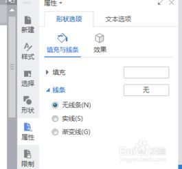 如何在WPS文档图片中编辑文字去掉文本框边框