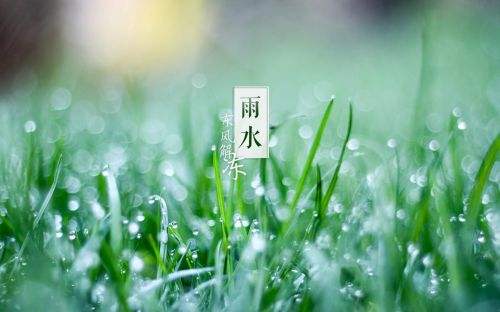 雨水 雪消门外千山绿,花发江边二月晴