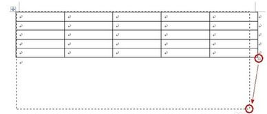 为什么word里的表格不能调整大小 