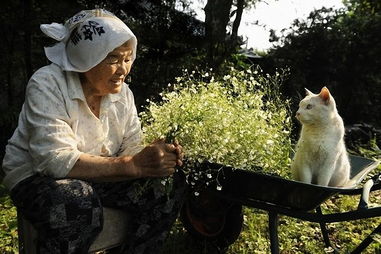 日本摄影师展示祖母和猫咪朋友间深情厚谊 