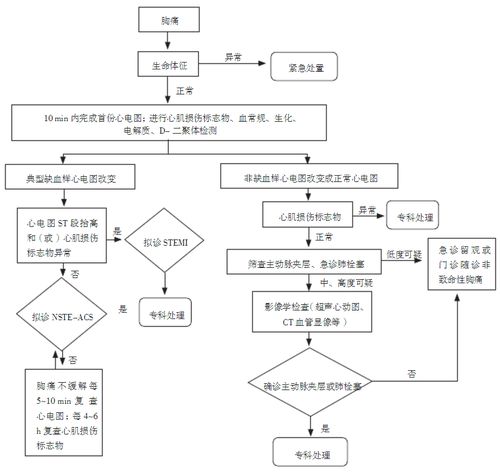 论文正文查重标准与流程解析