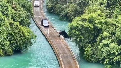 媒体 湖北一游览车落水沉没致5死