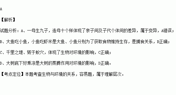 生物词语及解释有哪些词语;生灵是什么意思？