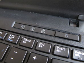键盘锁了按什么键可以解锁(键盘被锁住了打不了字怎么解决)