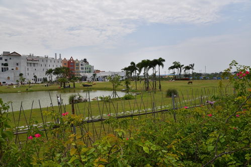 打卡网红新景点 海丝首港 