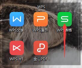 wpswin10安装多用户