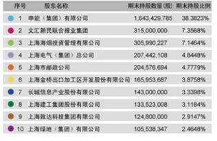 原前10名股东 是什么意思