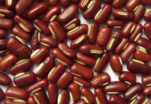 常吃红小豆可以升白细胞吗