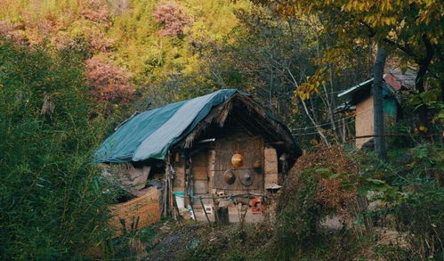 王芝霞 隐居终南山40年,自建茅棚取名三圣殿,能连续打坐108天