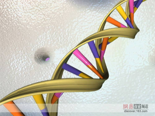 英国科技专栏之事件 双螺旋结构的DNA