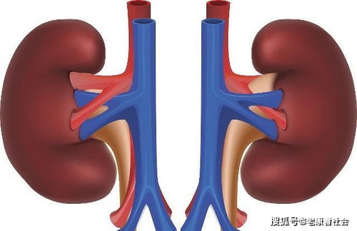 为什么有的人30岁就长白发了 或许是这3个问题,别大意