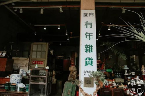 从买手店到文创店,除了馅饼还能从厦门带走这些纪念品