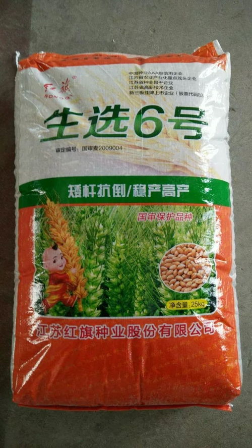 江苏红旗种业 把高品质水稻种子撒向国外 
