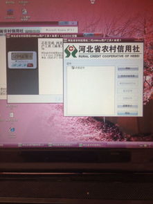 安装河北农村信用社向导,安装到最后提示没有证书,怎么办,插上U盾不立马跳转网上银行页面 