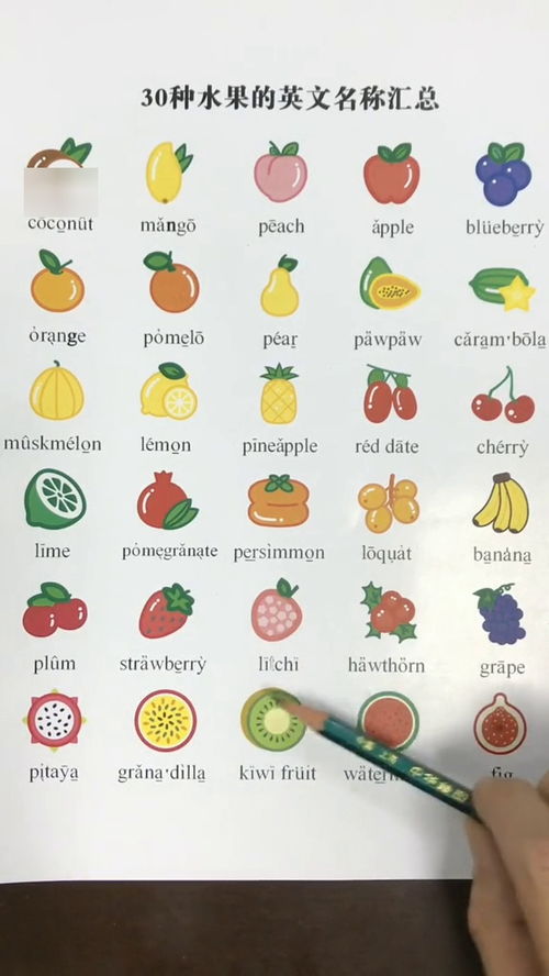 30种水果的英文名称汇总,不会读就没得吃哦 